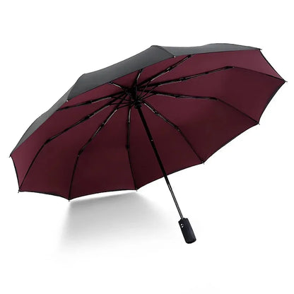 10-Bone Double-Layer Automatic Umbrella