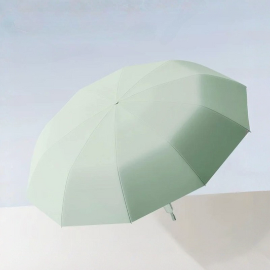 Cyber Style Fully Automatic Umbrella
