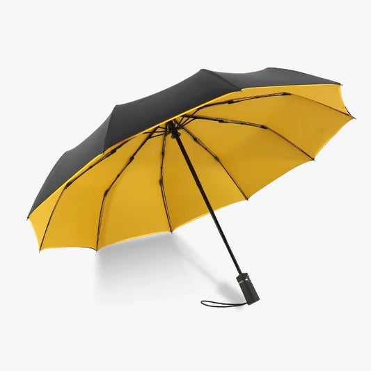 10-Bone Double-Layer Automatic Umbrella